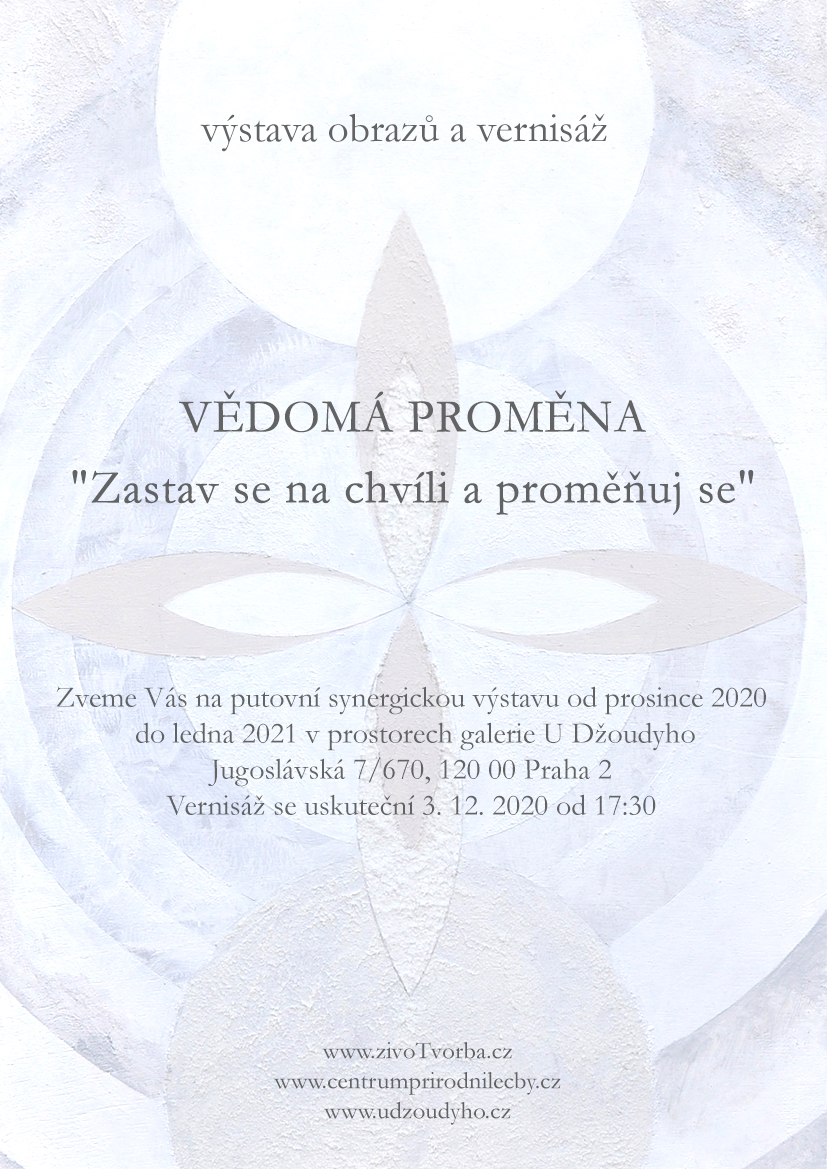 výstava _Vědomá proměna_pozvánka do výlohy